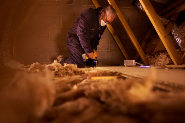 Best Geographic-Specific Insulation Services in Lake Como, NJ